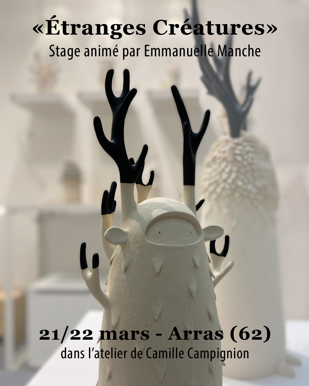 Stage de modelage – « Étranges Créatures »